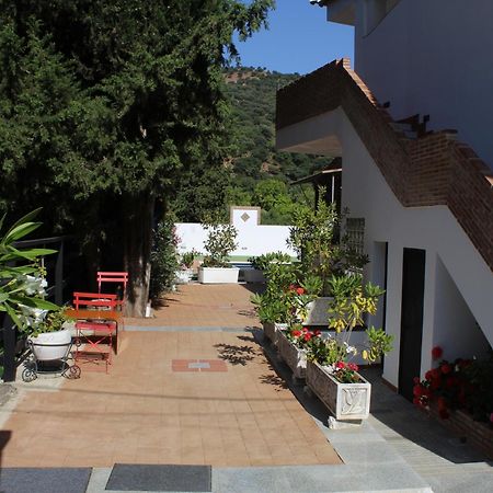 Apartamento Guadiaro 3 Ainhoa Benaoján Eksteriør billede